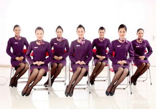 提升服務(wù)質(zhì)量 軟件開發(fā)領(lǐng)域的服務(wù)禮儀培訓(xùn)